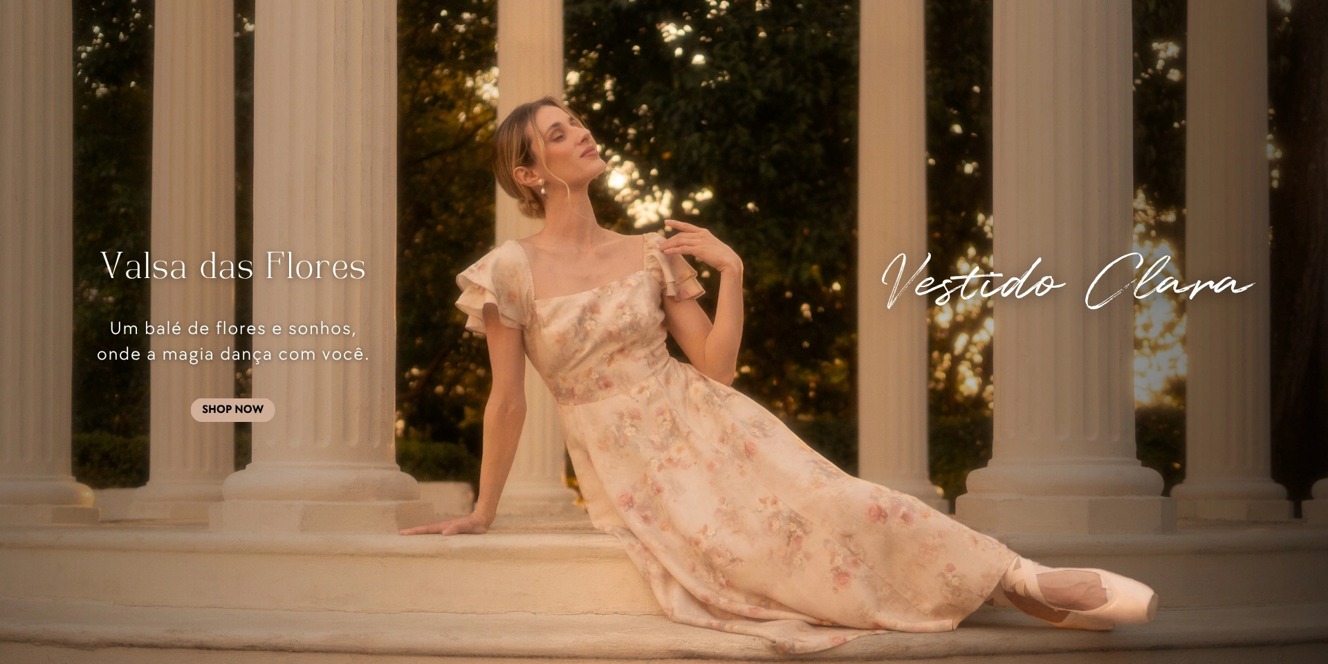 Home - Vestido Clara